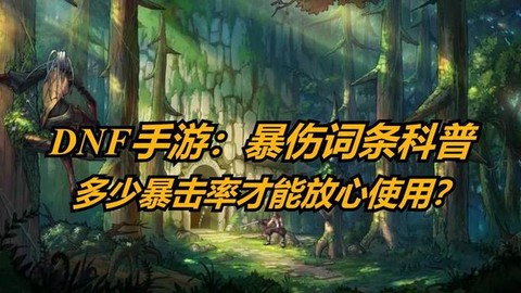 dnf爆伤是什么意思[图1]