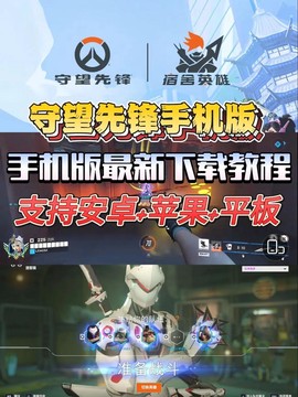 手机上如何玩守望先锋[图2]