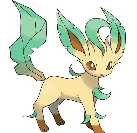 宝可梦伊布怎么骑宝可梦[图2]