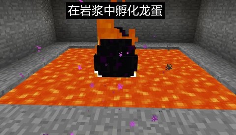 我的世界龙蛋怎么孵化[图1]