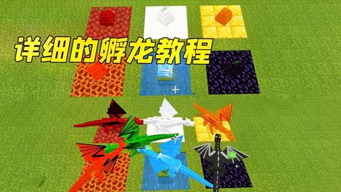 我的世界龙蛋怎么孵化[图2]