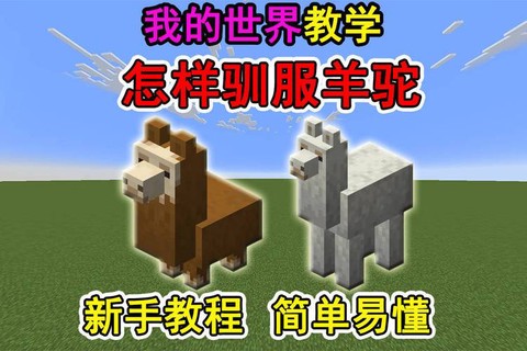 我的世界中羊驼怎么骑[图1]