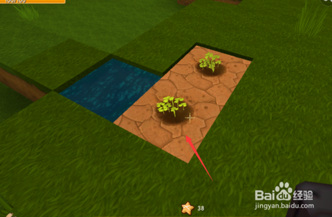 迷你世界龙血树怎么种[图2]