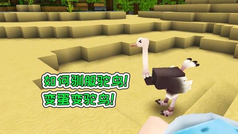 迷你世界鸵鸟怎么驯服[图2]